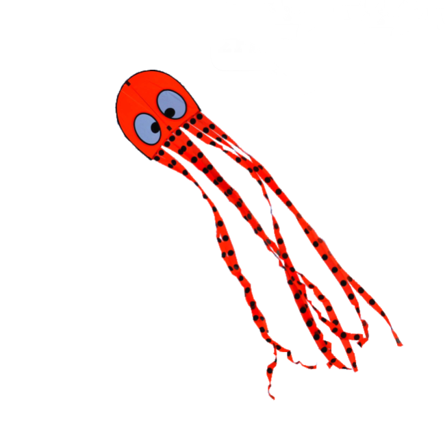 Wolkensturmer | Olli Octopus Kite