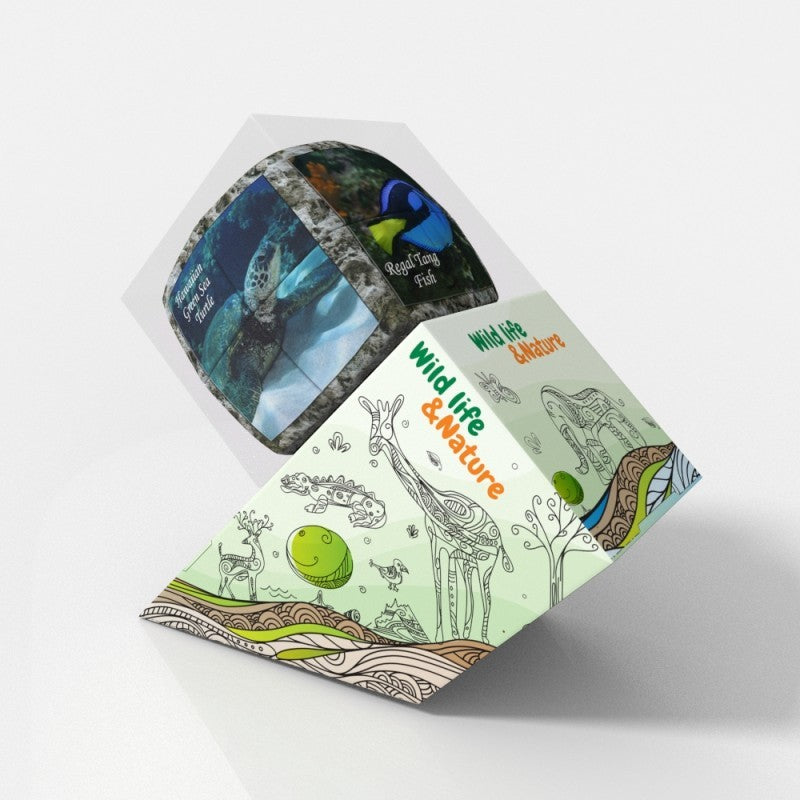 V-Cube Sea World Pillow Cube