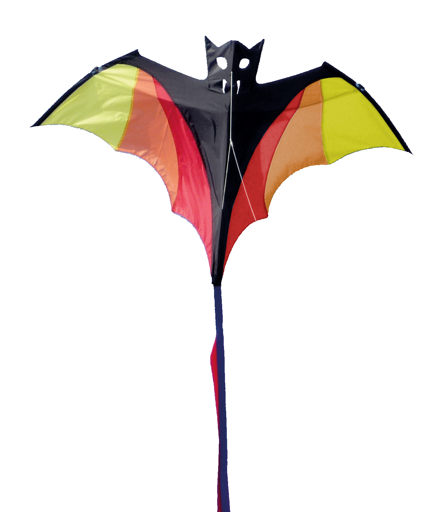 Wolkensturmer | Fledermaus Kite