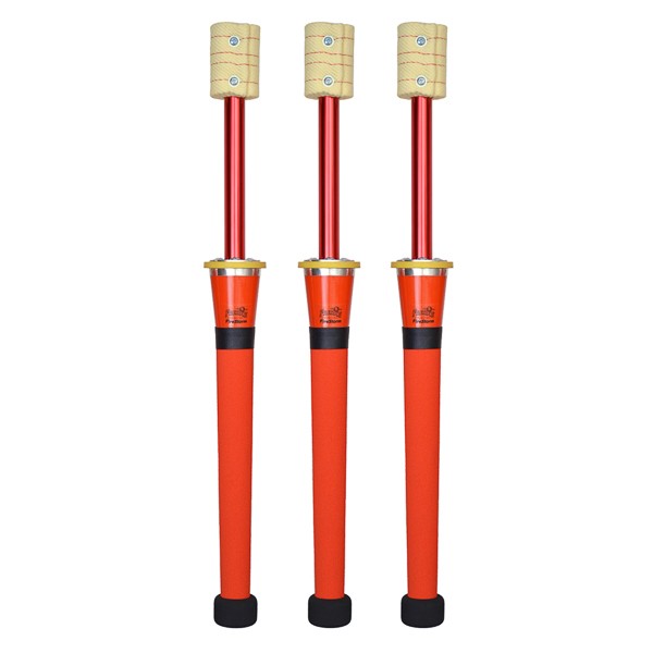 Freaks 'Sport' Firestorm Juggling Torch