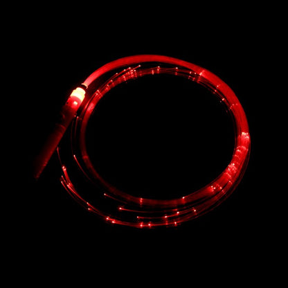 Fibre Optic Whip - Soul Artists