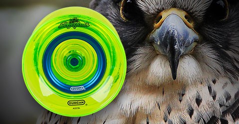 Duncan Skyhawk Yo-Yo
